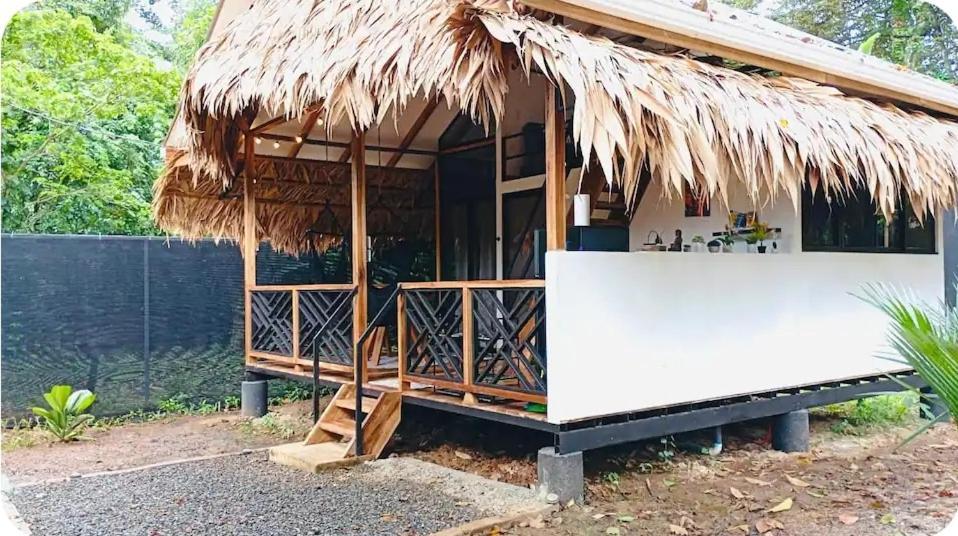 Evolution House Jungle Oasis Villa Hone Creek Exterior photo