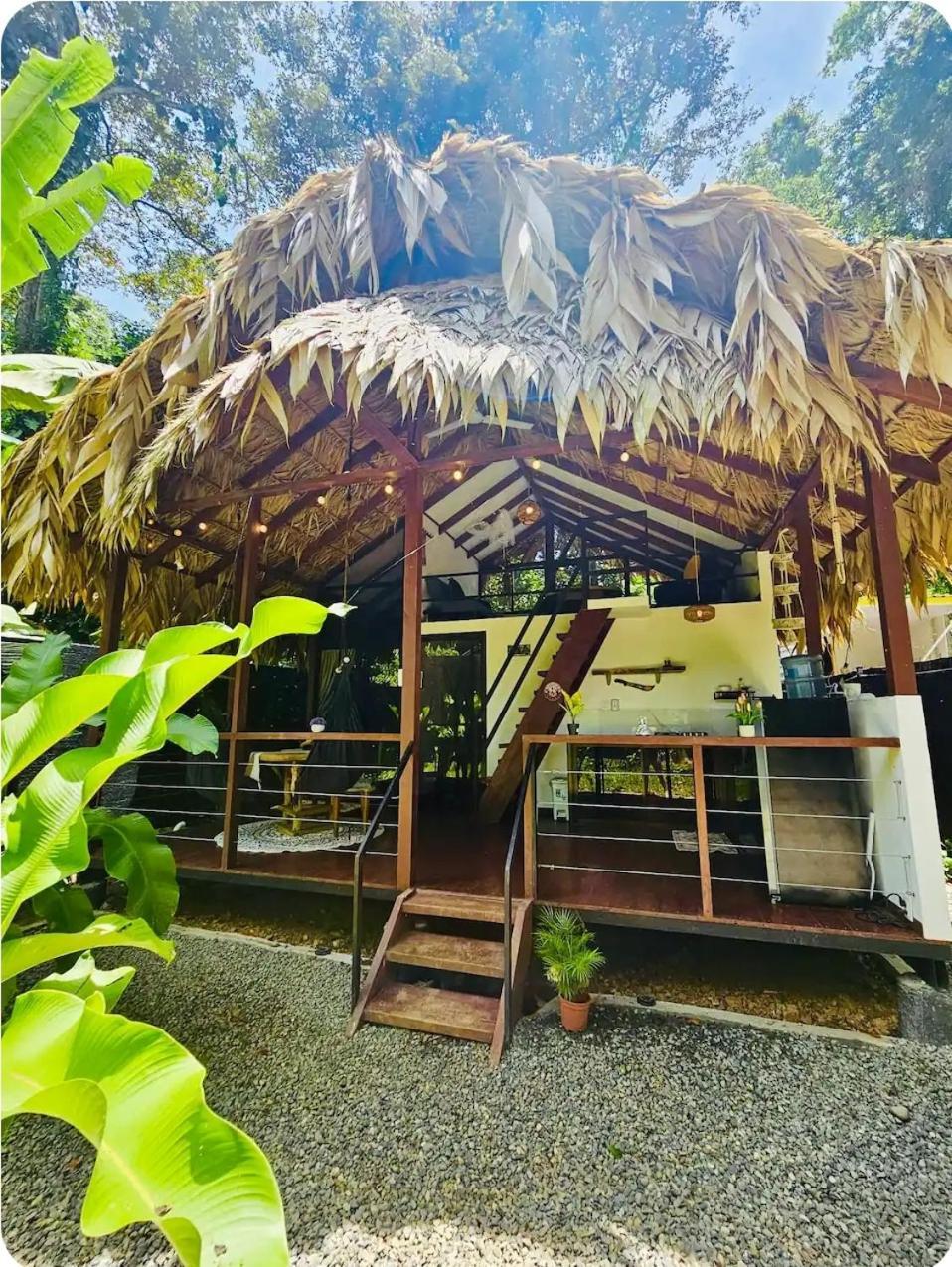 Evolution House Jungle Oasis Villa Hone Creek Exterior photo
