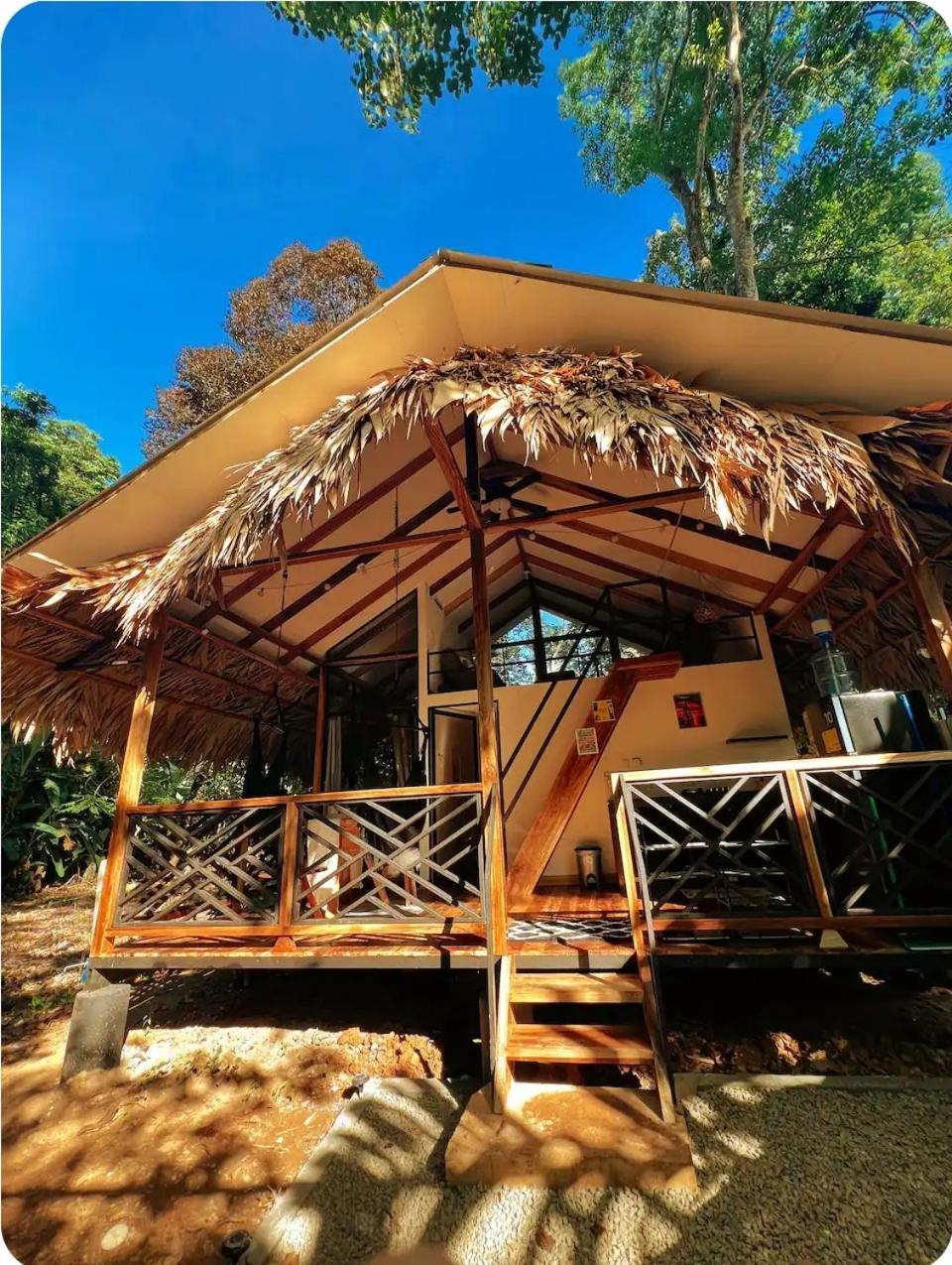 Evolution House Jungle Oasis Villa Hone Creek Exterior photo